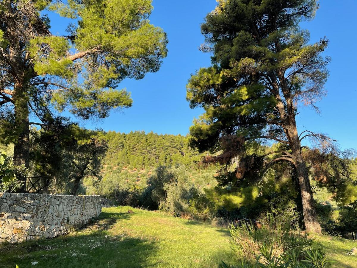 Novecento Country House Apartment Vieste Exterior photo