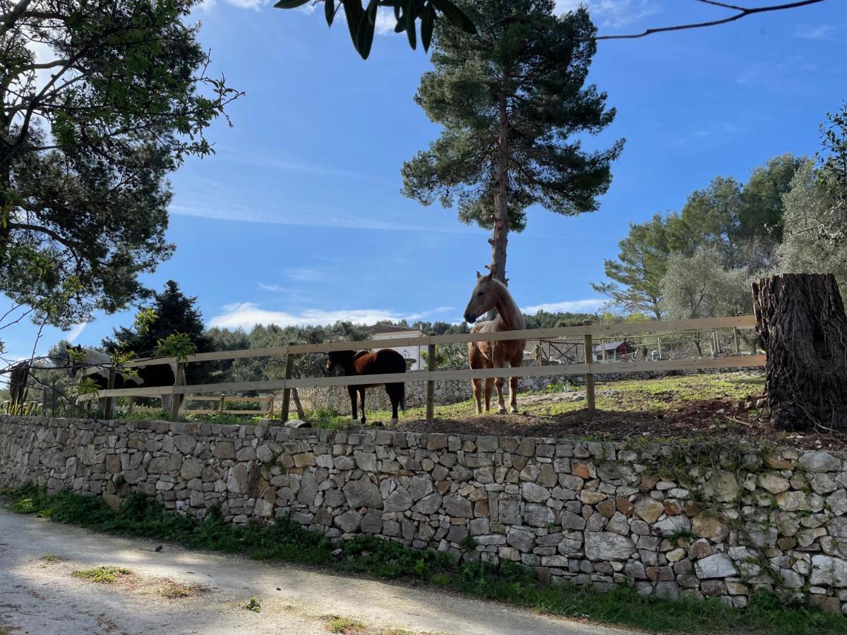 Novecento Country House Apartment Vieste Exterior photo