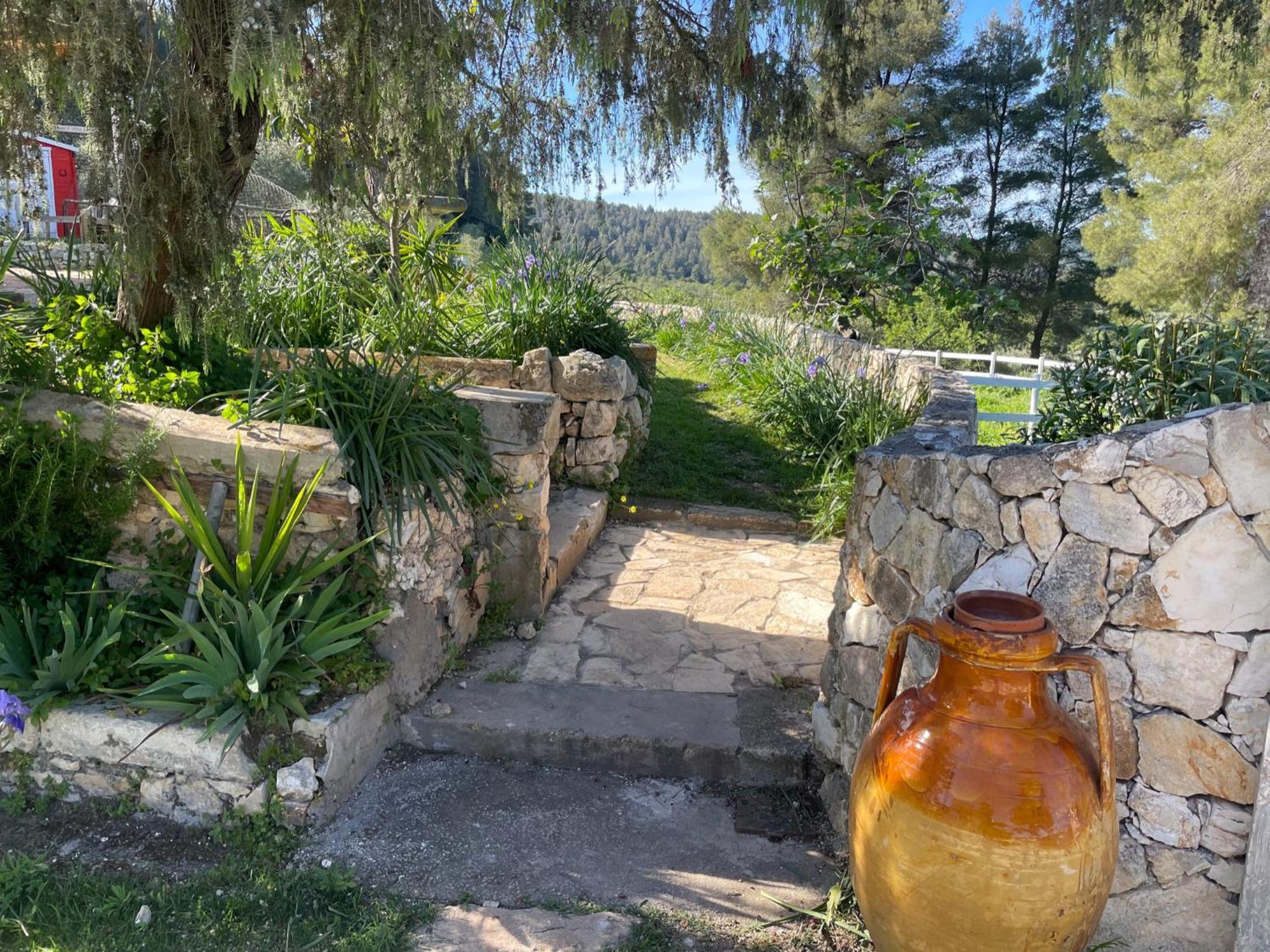 Novecento Country House Vieste Exterior photo